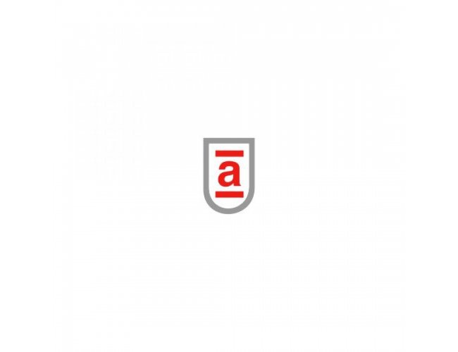 Pin Personalizado Resinado B31 Bras�o 15x10mm