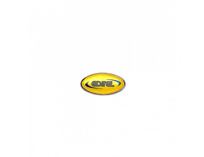 Pin Personalizado Resinado B33 Oval 32x16mm