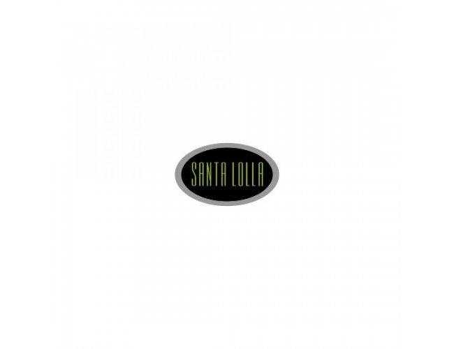 Pin Personalizado Resinado B37 Oval 20x12mm