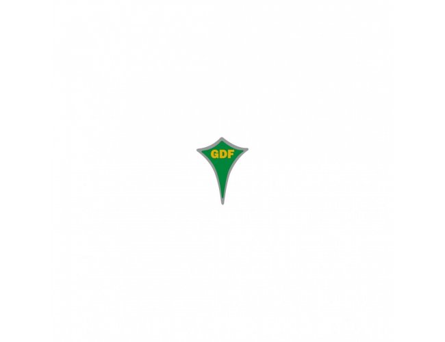 Pin Personalizado Resinado B42 Bras�lia 11x15mm